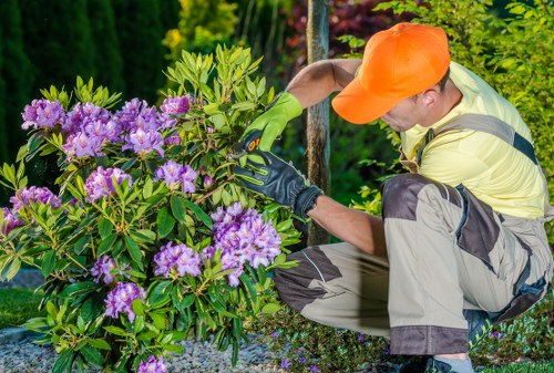 Crew member starting a garden service in a Tooting terrace garden