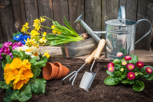 Professional gardener designing a landscape in Tooting