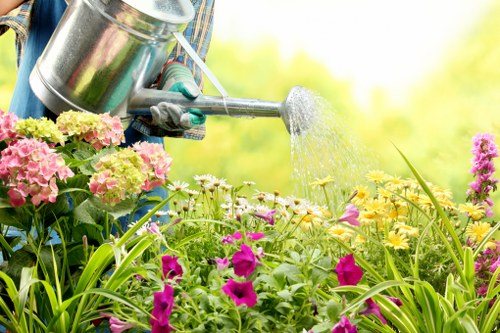 Seasonal garden maintenance by Tooting gardening experts