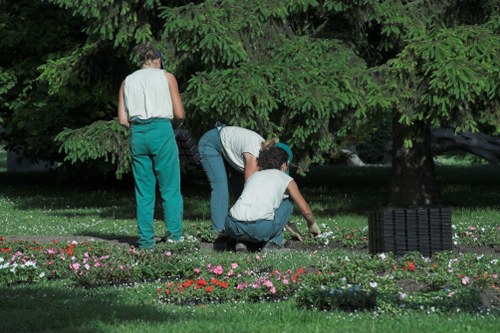 Professional garden clearance service in Tooting