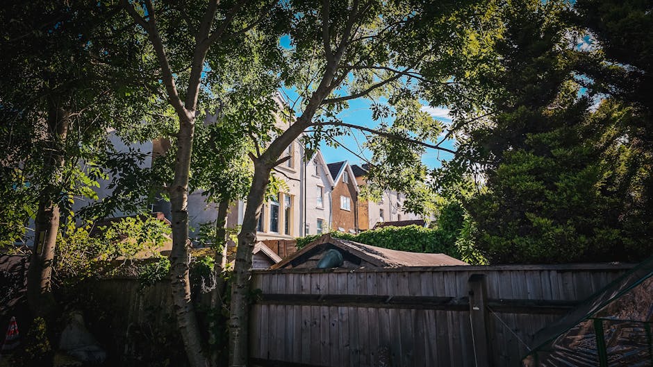 A view of a residential garden with lush green trees and a wooden garden fence. The trees have dense, leafy canopies casting shade over the garden area, with some branches extending across the scene. 